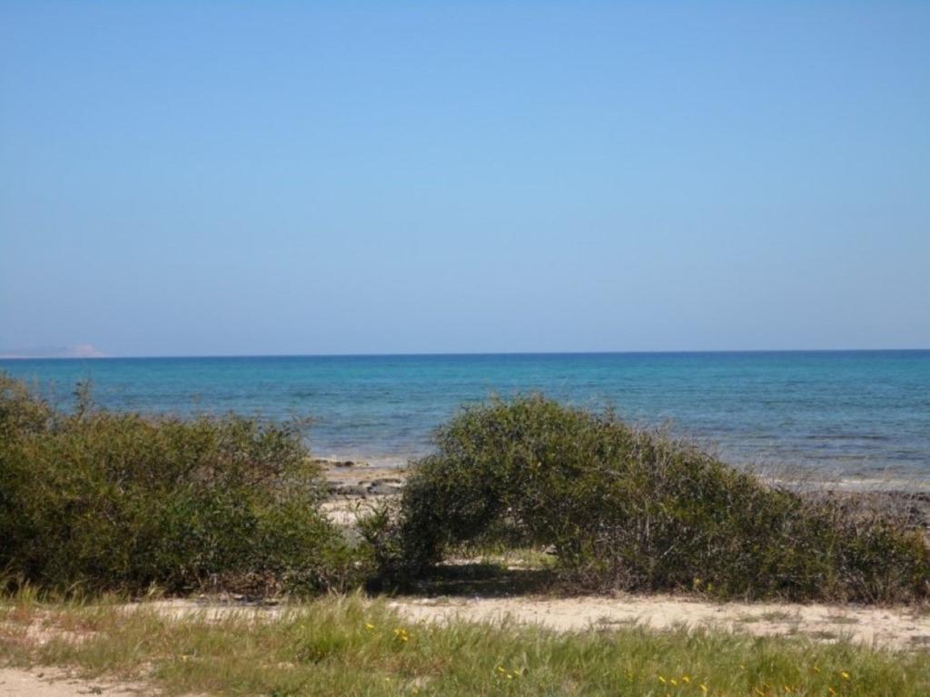 Villa Alexandra Αγία Νάπα Εξωτερικό φωτογραφία